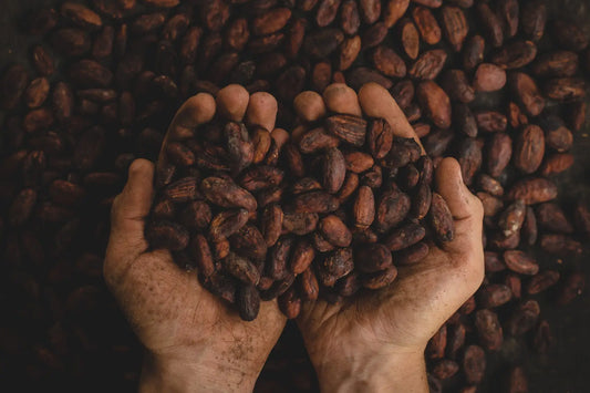 Choosing the right chocolate for a great recipe!