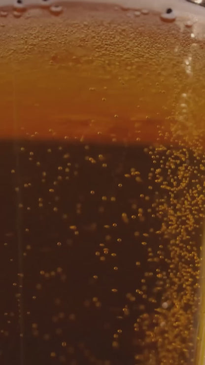 The Buzz...ed BAR - Mangalore Origin (Dark 60% w/Nibs)